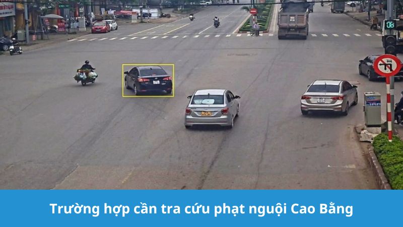 trường hợp cần tra cứu phạt nguội Cao Bằng