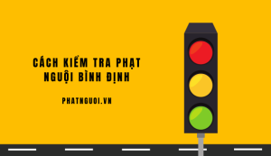 tra phạt nguội bình định