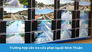 Trường hợp cần tra cứu phạt nguội Ninh Thuận