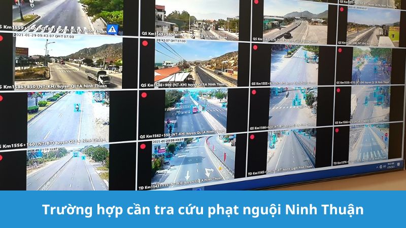 Trường hợp cần tra phạt nguội Ninh Thuận