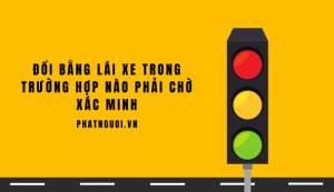 Đổi bằng lái xe trong trường hợp nào phải chờ xác minh