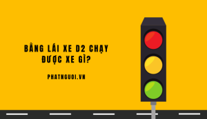 bằng lái xe D2 chạy được xe gì